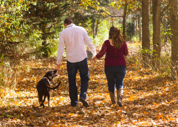 Chiropractic Health Center